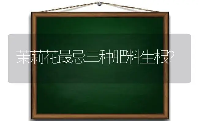 茉莉花最忌三种肥料生根？ | 植物问答