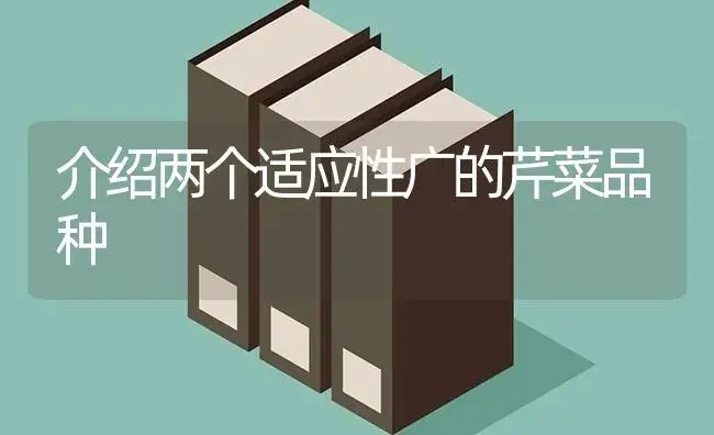 介绍两个适应性广的芹菜品种 | 植物科普