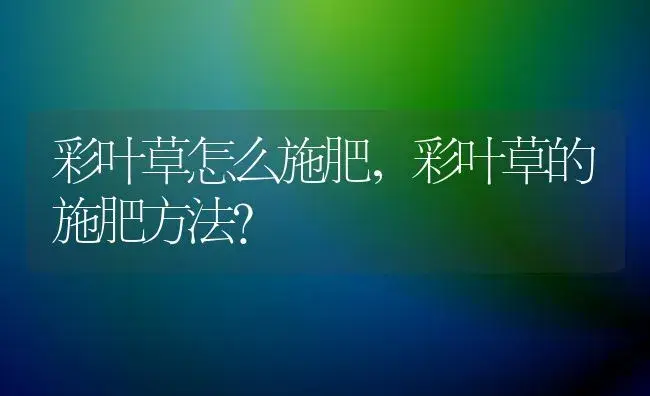 彩叶草怎么施肥，彩叶草的施肥方法？ | 植物问答