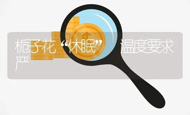 栀子花“休眠” 温度要求严 | 植物知识