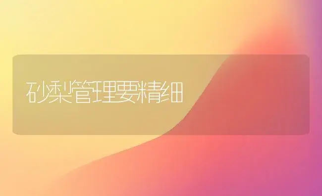 砂梨管理要精细 | 植物科普