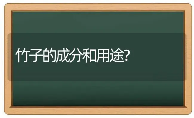 竹子的成分和用途？ | 植物问答