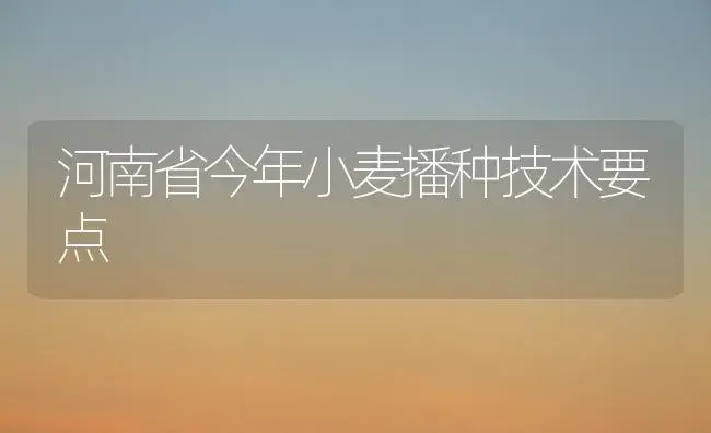 河南省今年小麦播种技术要点 | 植物科普
