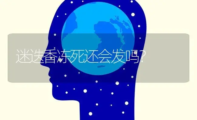 松柏，兰花，荷花，翠竹，万年青象征什么？（做过这个题的进）？ | 植物问答