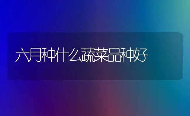 六月种什么蔬菜品种好 | 植物科普