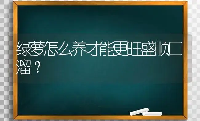 绿萝怎么养才能更旺盛顺口溜？ | 植物问答