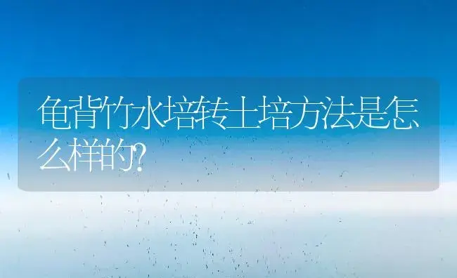 龟背竹水培转土培方法是怎么样的？ | 植物问答