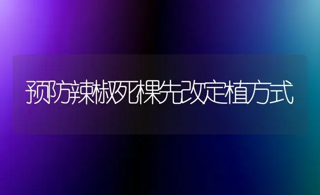 预防辣椒死棵先改定植方式 | 植物百科