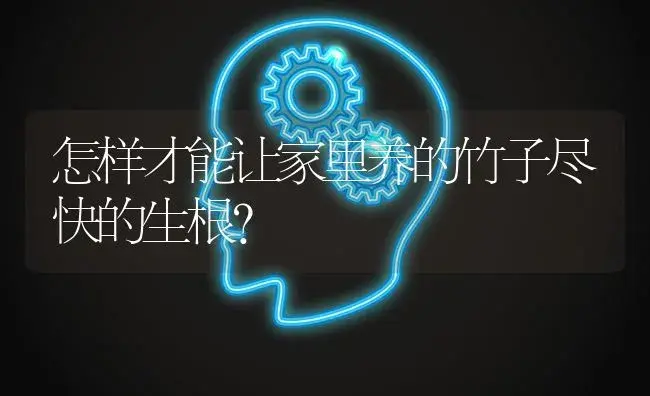 怎样才能让家里养的竹子尽快的生根？ | 植物问答