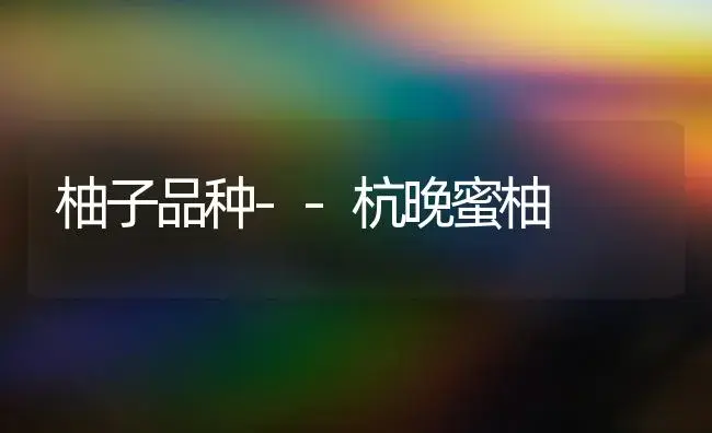 柚子品种--杭晚蜜柚 | 植物百科