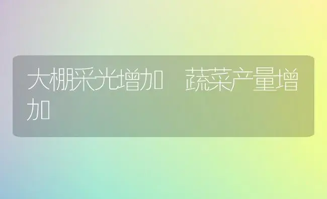 大棚采光增加 蔬菜产量增加 | 植物科普