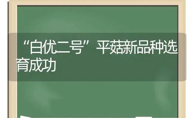 “白优二号”平菇新品种选育成功 | 植物科普