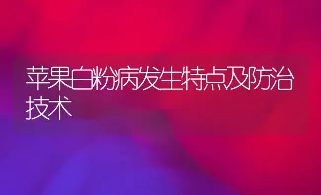 冬天栽香椿，元旦卖好价 | 植物百科