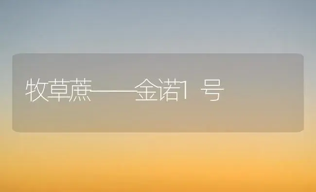 牧草蔗——金诺1号 | 植物知识