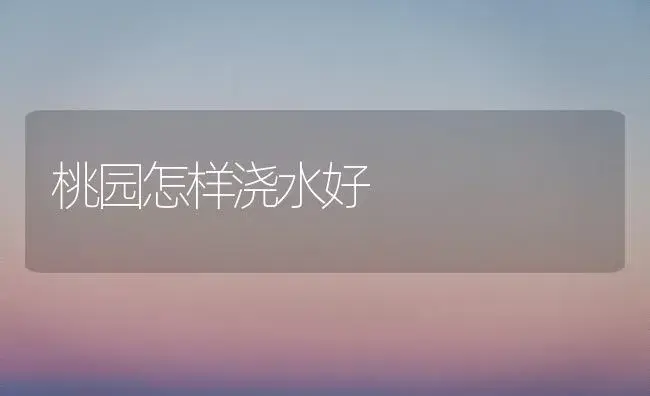 桃园怎样浇水好 | 植物科普