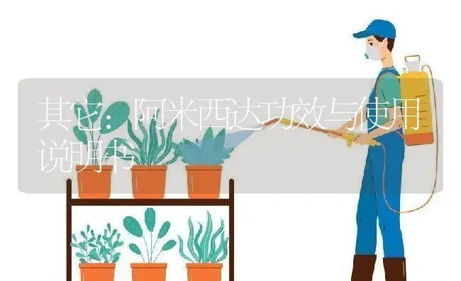 其它：阿米西达 | 适用防治对象及农作物使用方法说明书 | 植物资料