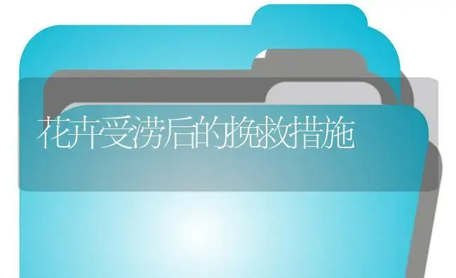 花卉受涝后的挽救措施 | 植物知识