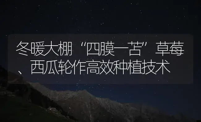 冬暖大棚“四膜一苫”草莓、西瓜轮作高效种植技术 | 植物百科