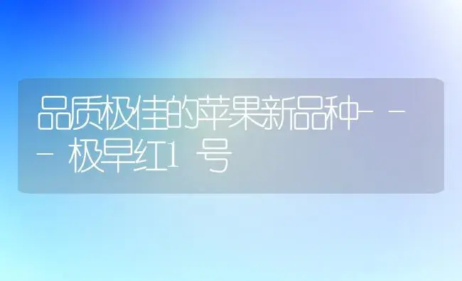 品质极佳的苹果新品种---极早红1号 | 植物科普