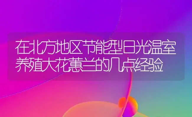 在北方地区节能型日光温室养殖大花蕙兰的几点经验 | 植物科普