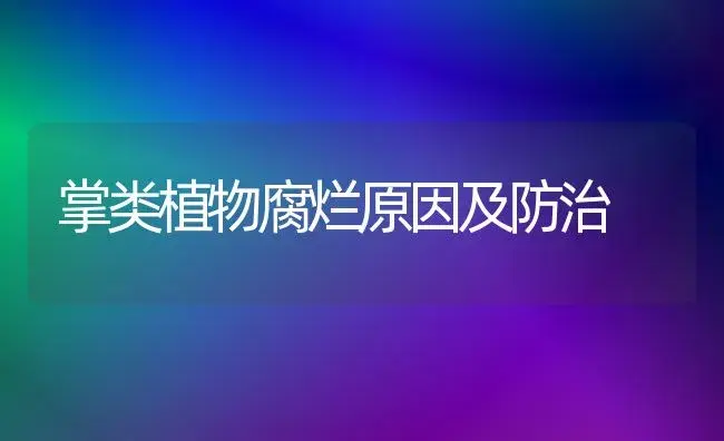 掌类植物腐烂原因及防治 | 植物科普