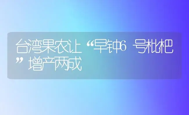 台湾果农让“早钟6号枇杷”增产两成 | 植物科普