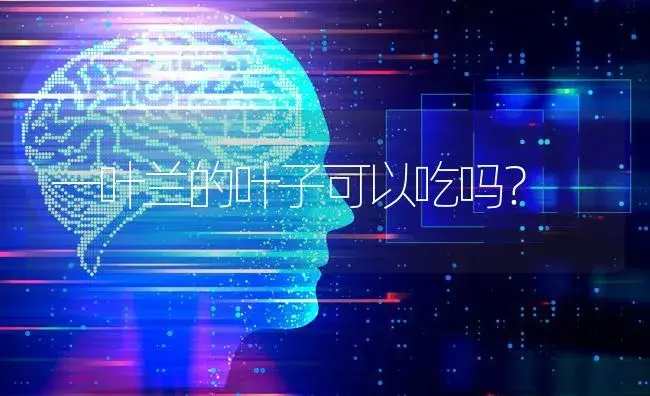 一叶兰的叶子可以吃吗？ | 植物问答