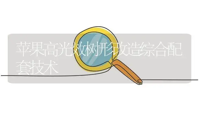 苹果高光效树形改造综合配套技术 | 植物百科