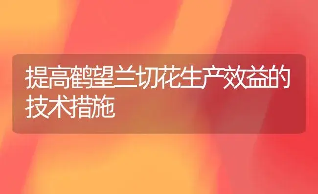 提高鹤望兰切花生产效益的技术措施 | 植物知识