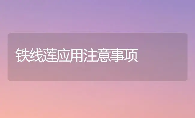 铁线莲应用注意事项 | 植物知识