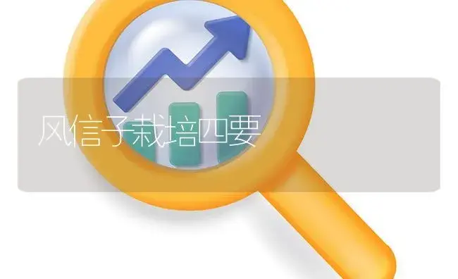 风信子栽培四要 | 植物知识