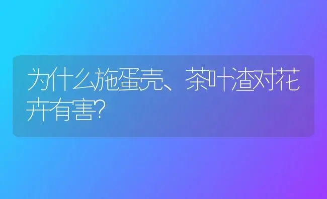 为什么施蛋壳、茶叶渣对花卉有害？ | 植物知识