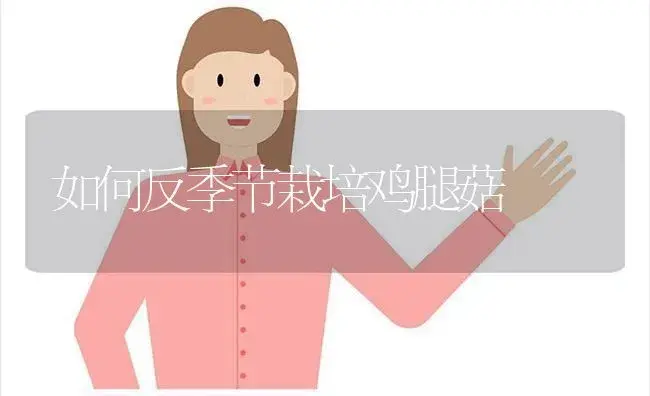如何栽培非洲紫罗兰? | 植物科普
