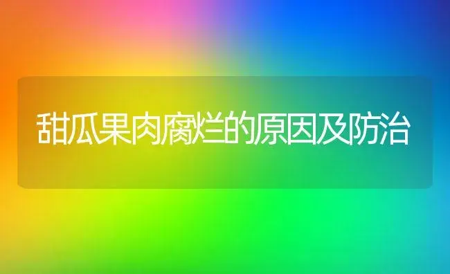 甜瓜果肉腐烂的原因及防治 | 植物百科