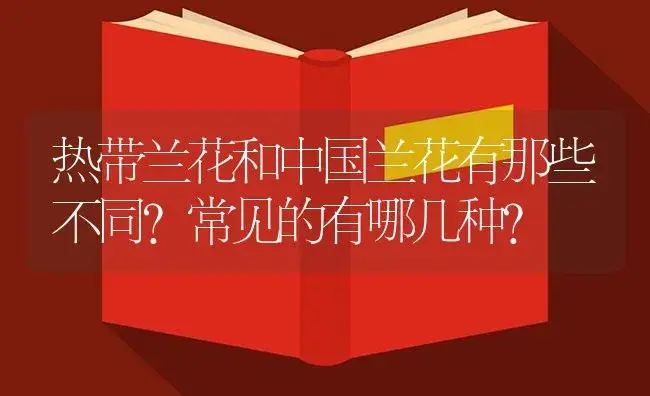 热带兰花和中国兰花有那些不同?常见的有哪几种? | 植物知识