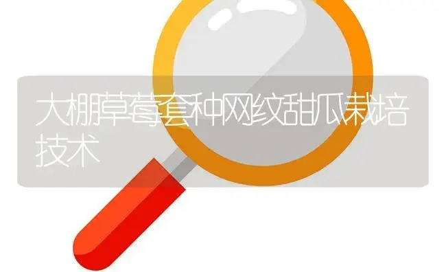 大棚草莓套种网纹甜瓜栽培技术 | 植物百科