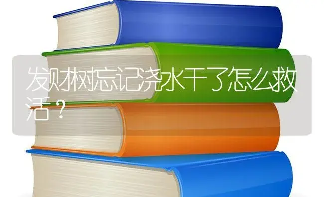 发财树忘记浇水干了怎么救活？ | 植物问答