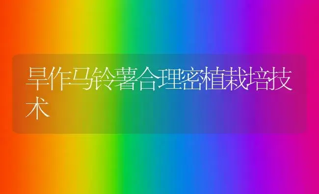 旱作马铃薯合理密植栽培技术 | 植物科普
