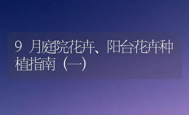 9月庭院花卉、阳台花卉种植指南（一） | 植物科普