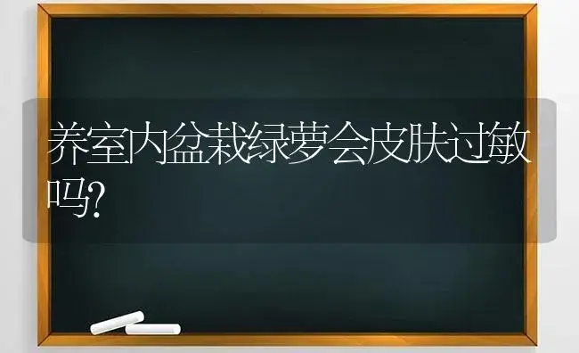 养室内盆栽绿萝会皮肤过敏吗？ | 植物问答