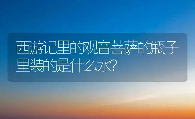 西游记里的观音菩萨的瓶子里装的是什么水？ | 植物问答