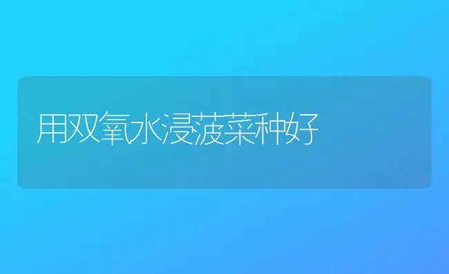用双氧水浸菠菜种好 | 植物科普