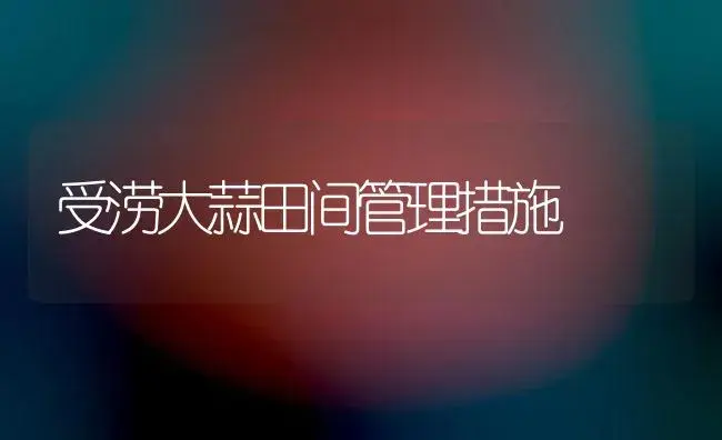 受涝大蒜田间管理措施 | 植物百科