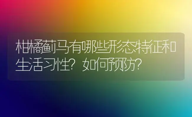 柑橘蓟马有哪些形态特征和生活习性？如何预防？ | 植物百科