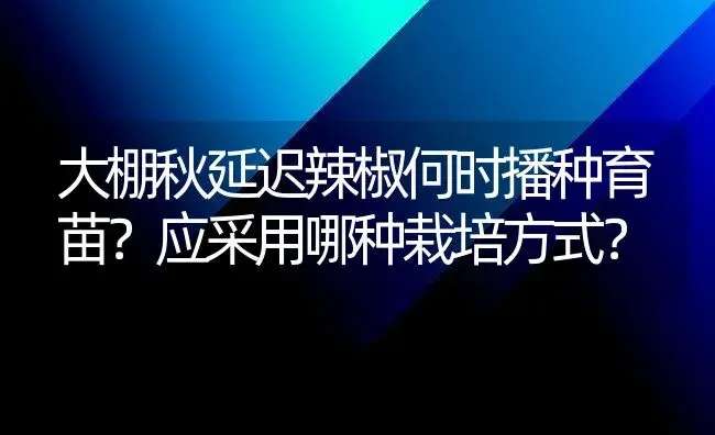 大棚秋延迟辣椒何时播种育苗？应采用哪种栽培方式？ | 植物百科