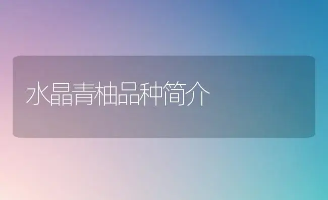 水晶青柚品种简介 | 植物科普