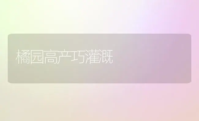 橘园高产巧灌溉 | 植物百科