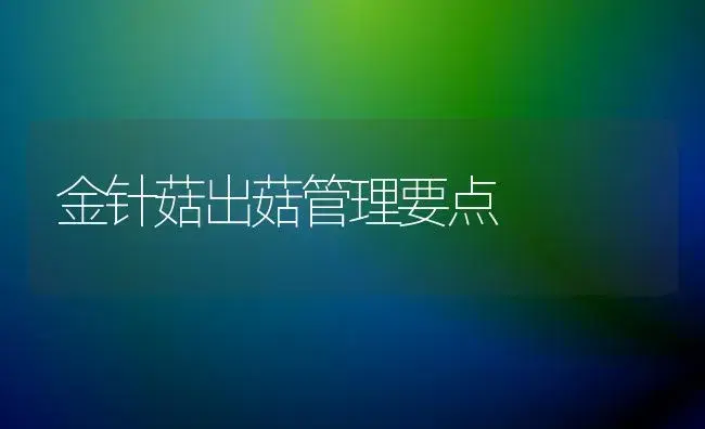 金针菇出菇管理要点 | 植物科普