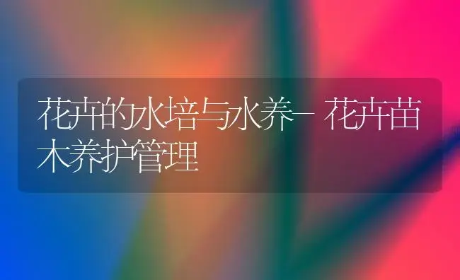 花卉的水培与水养-花卉苗木养护管理 | 植物知识