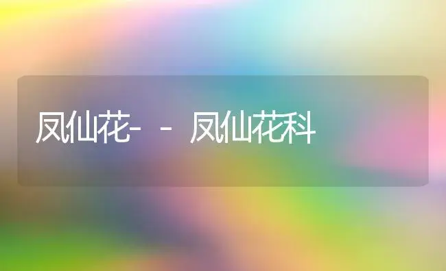 凤仙花--凤仙花科 | 植物知识
